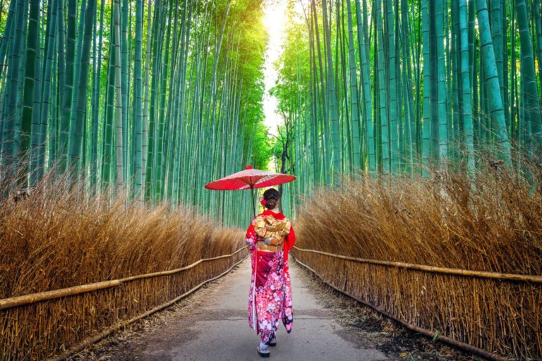 Den berömda bambunskogen i Arashiyama, Kyoto