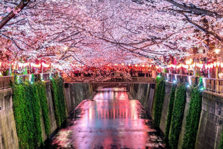 Atmosfärisk bakgata med traditionella japanska hus