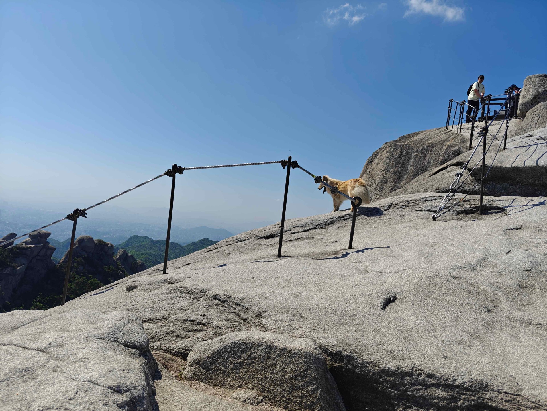 Hund balanserar på klippan vid Bukhansans topp