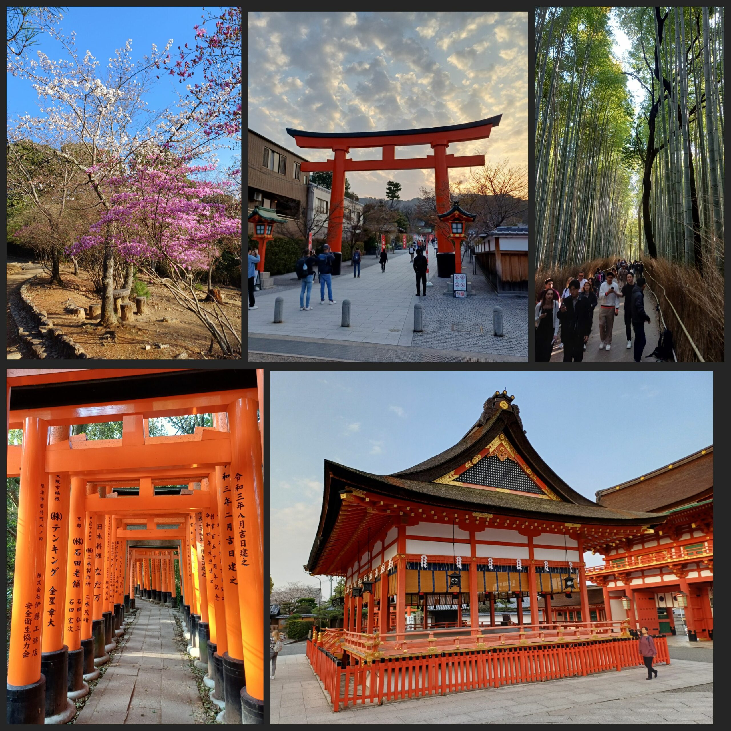 Fushimi Inari Taisha