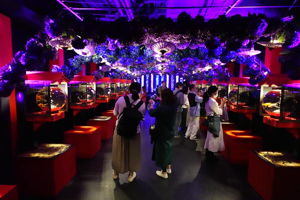 Ginza Aquarium