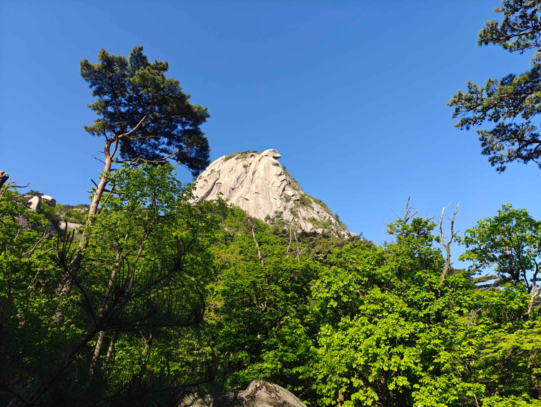 Granittopp på Bukhansan mot blå himmel