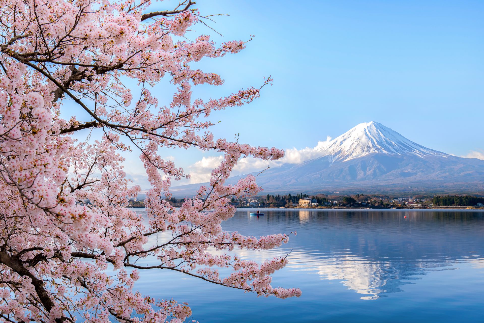 7 dagar i Tokyo & Mt Fuji