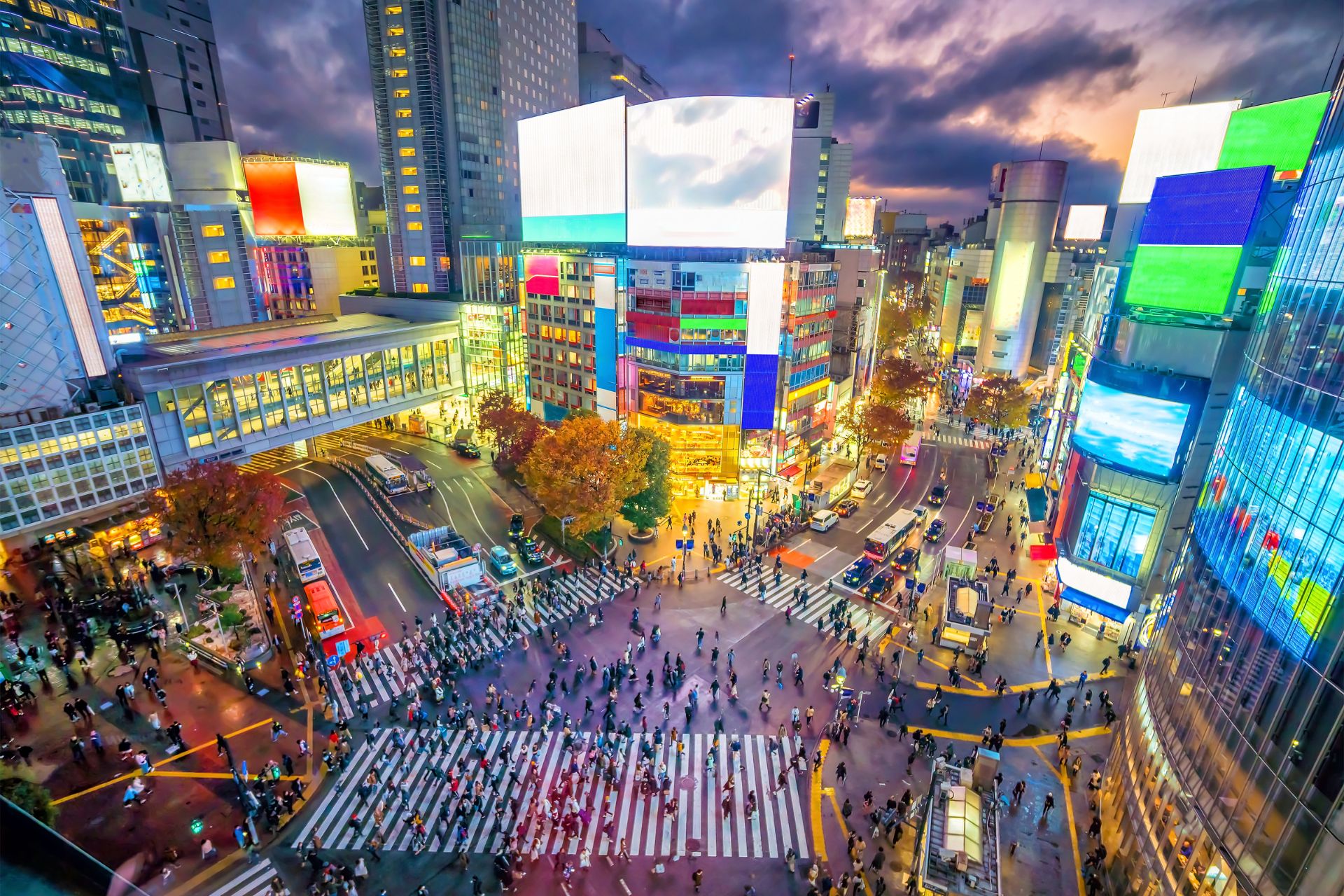 Mer av Tokyo