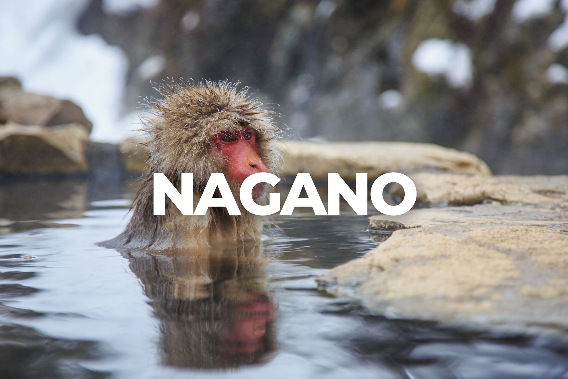 Nagano - destination i Japan