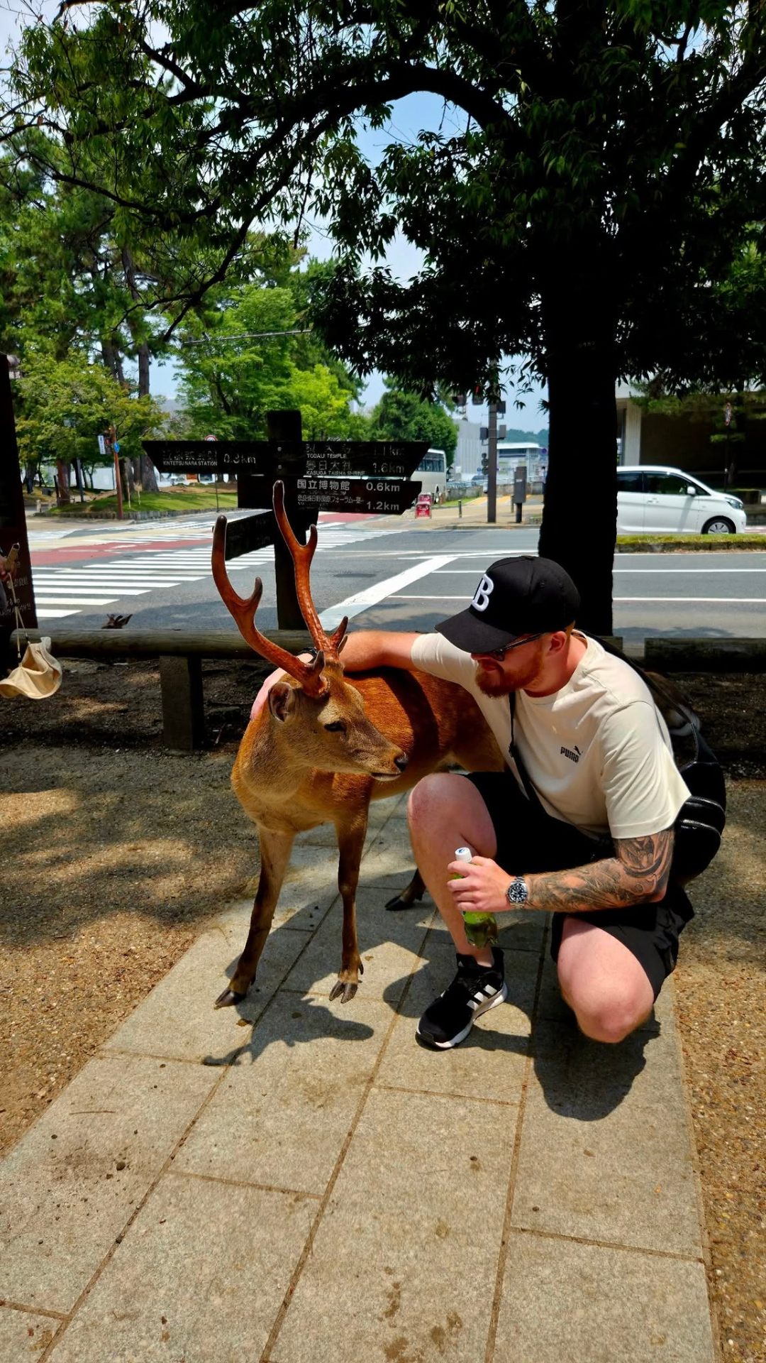 Nara Park