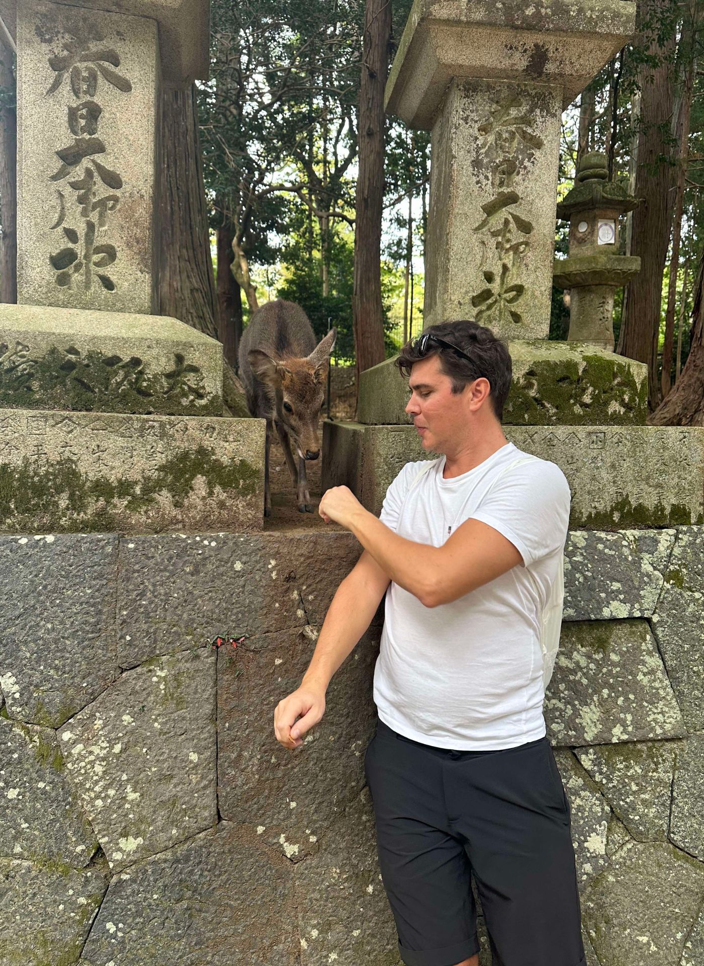 Nara Park