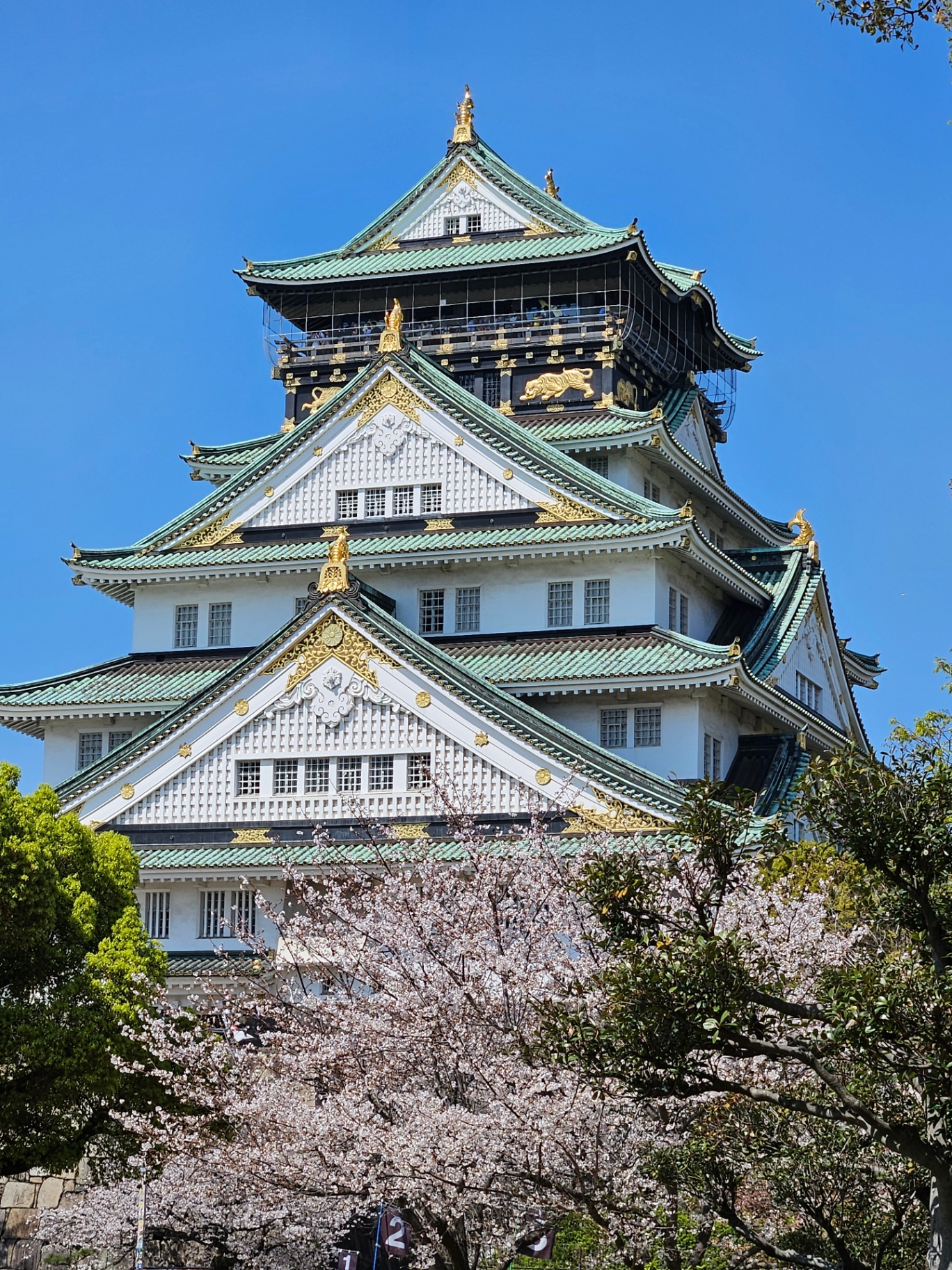 Osaka slott med sakura