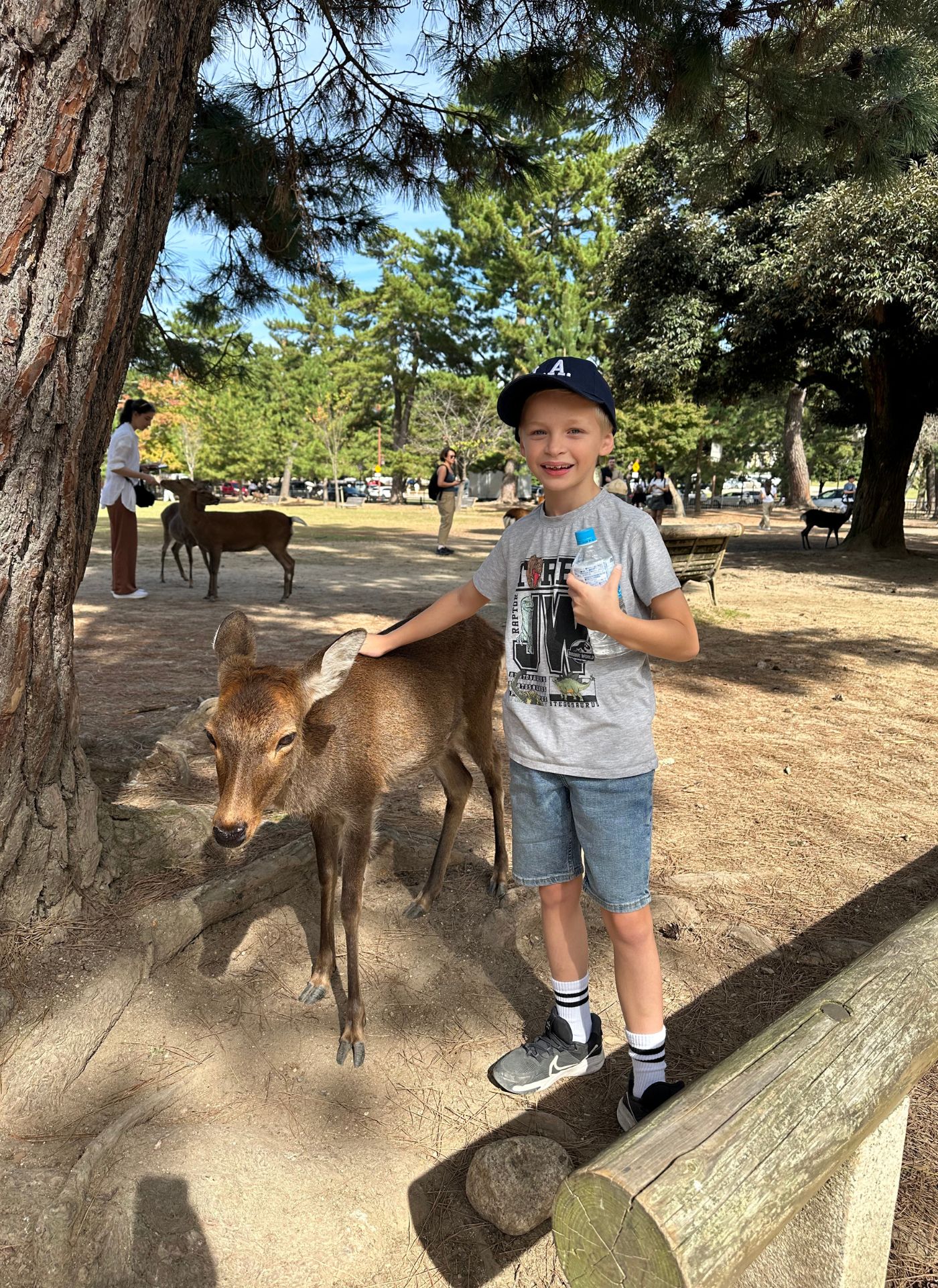 Pojke i Nara Park