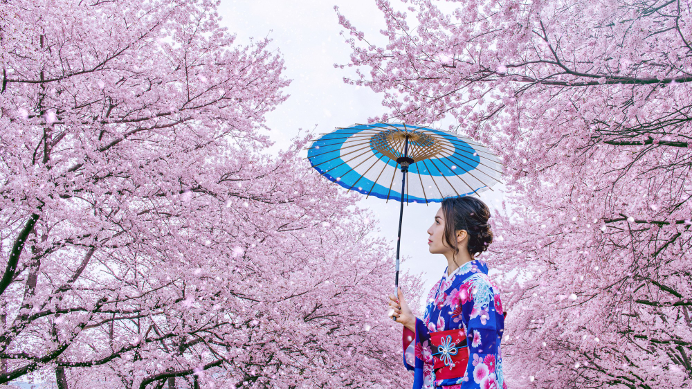 Kyoto tempel