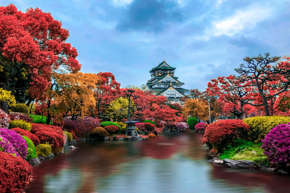 Japanskt landskap med körsbärsblommor
