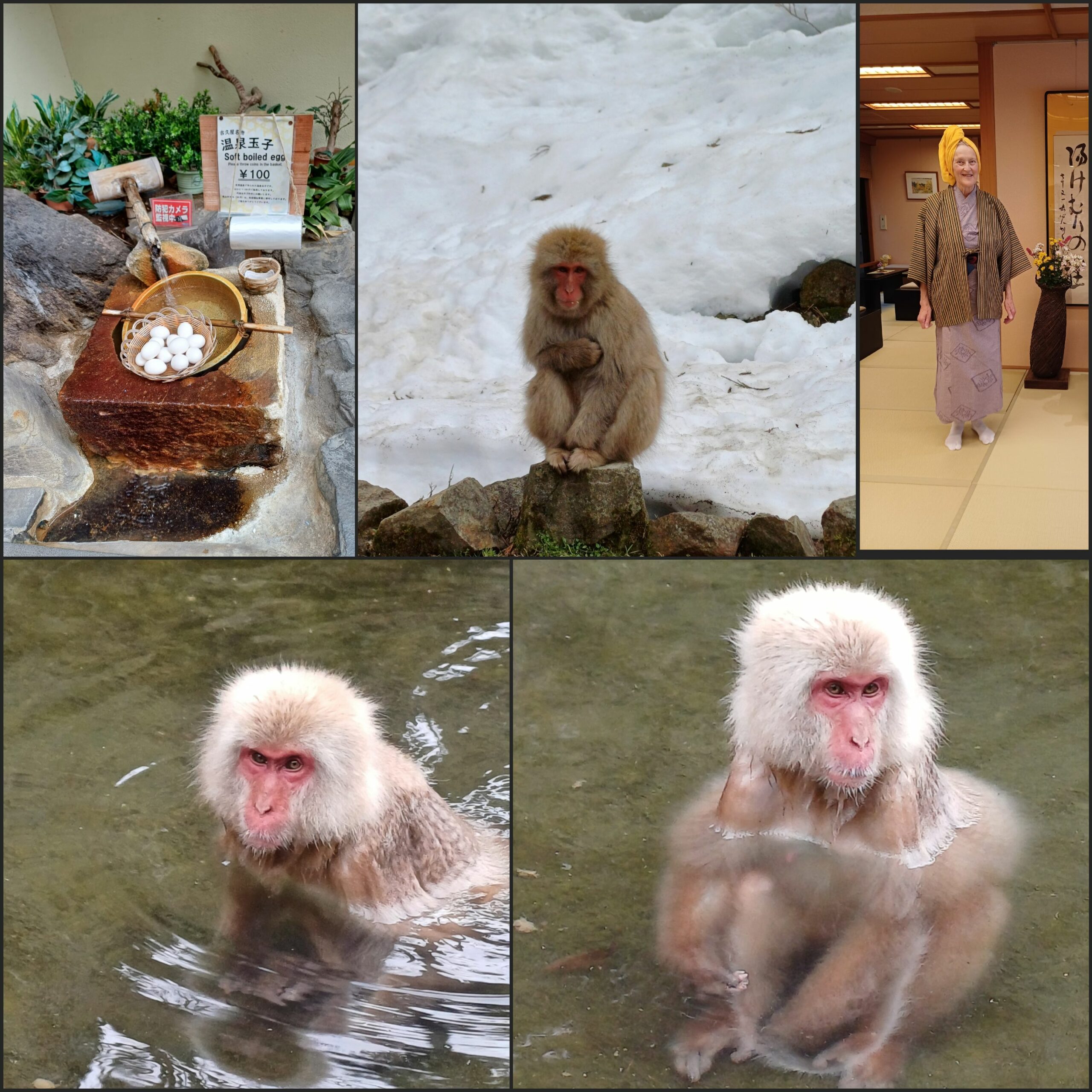 Snöapor nära Kyoto