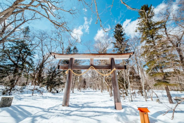 torii gate snö